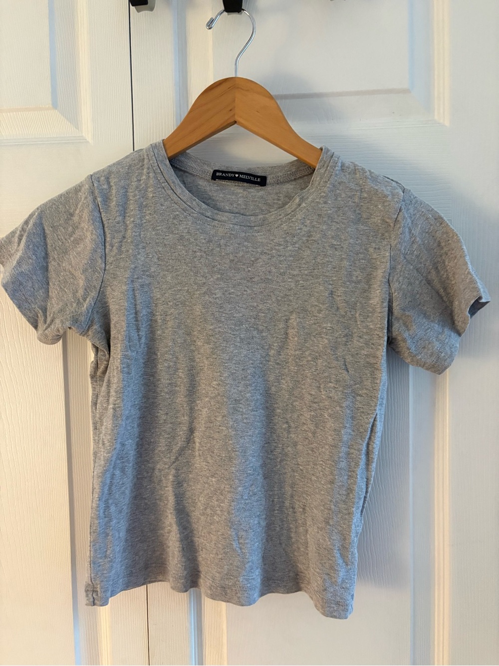 Brandy Melville Gray Short Sleeve Tee